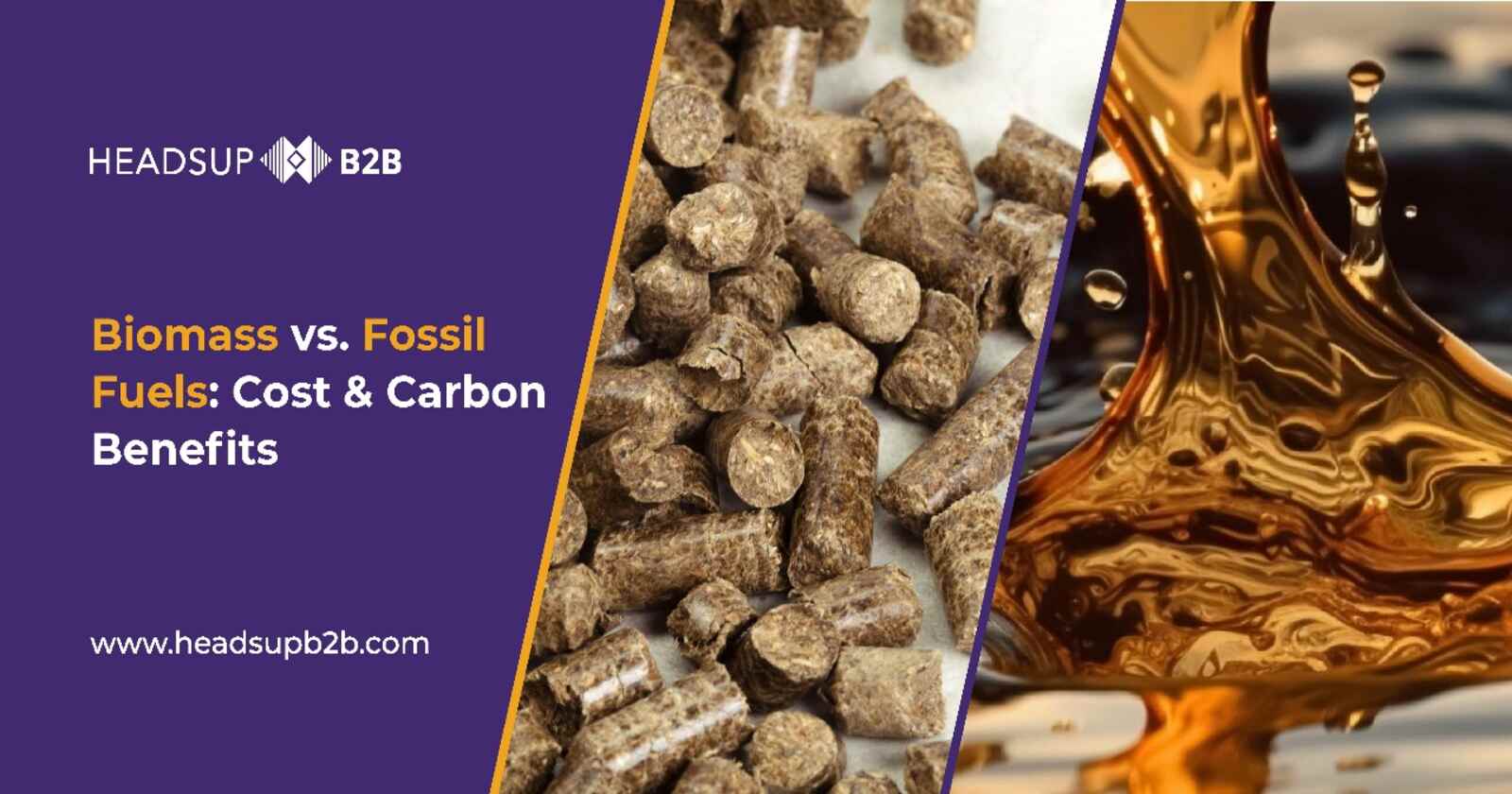 Biomass vs. Fossil Fuels: Cost & Carbon Benefits