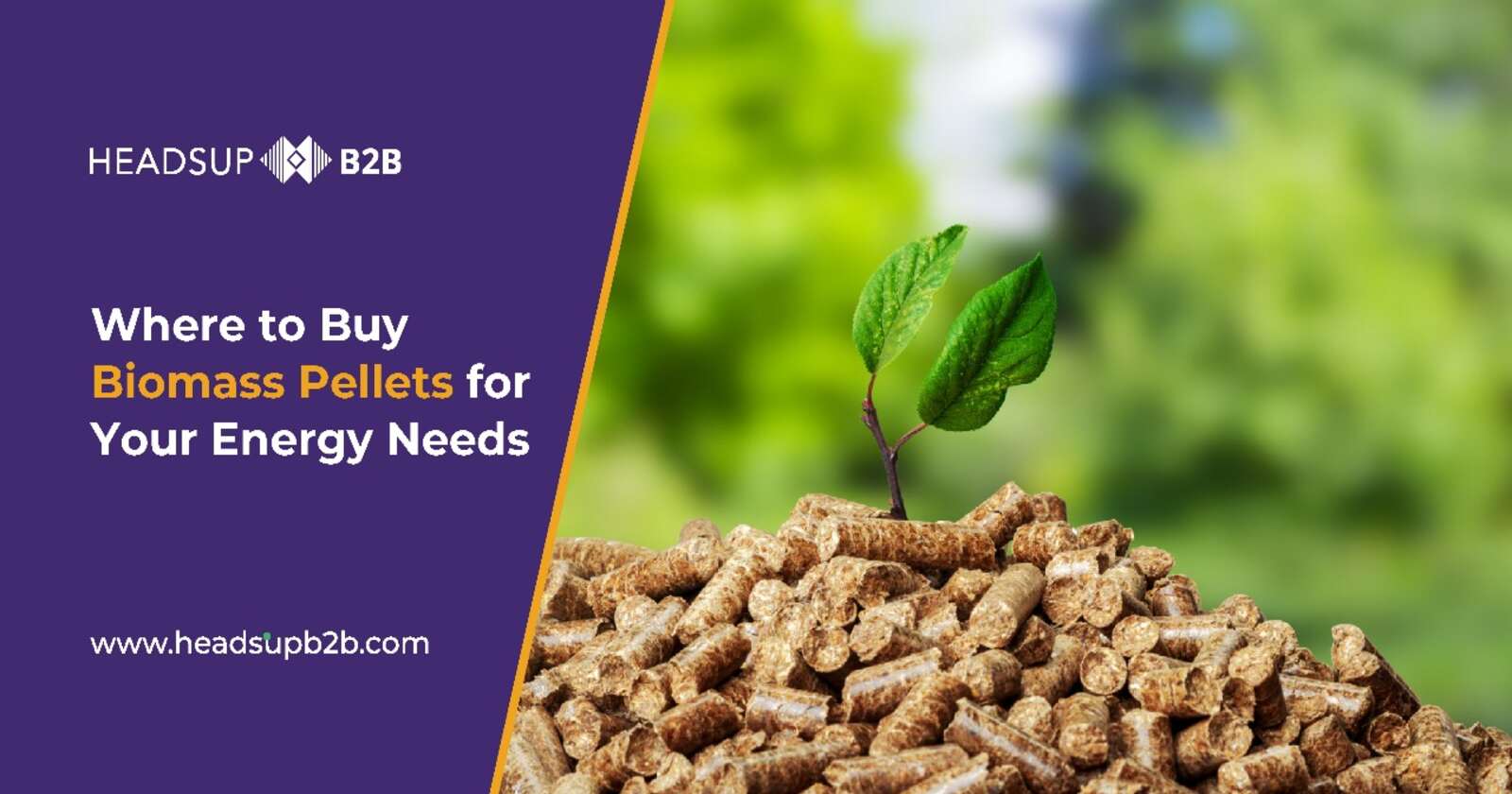 Where to Buy Biomass Pellets for Your Energy Needs