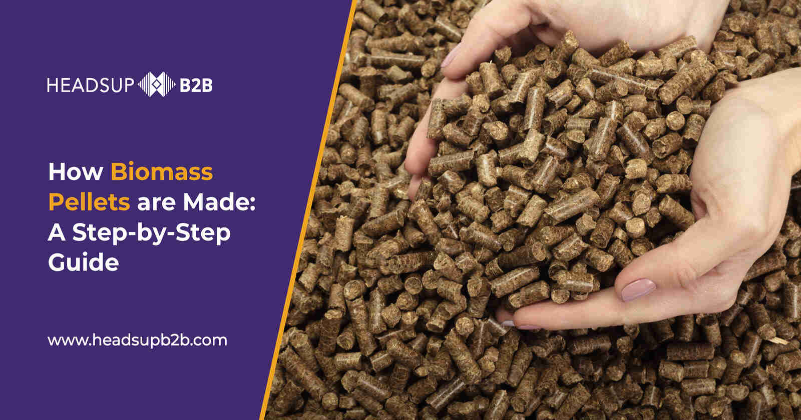 How Biomass Pellets Are Made : A Step-by-Step Guide