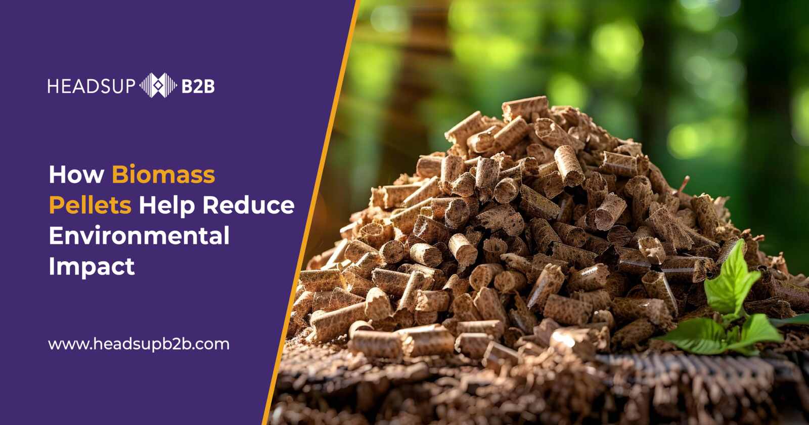How Biomass Pellets Help Reduce Environmental Impact