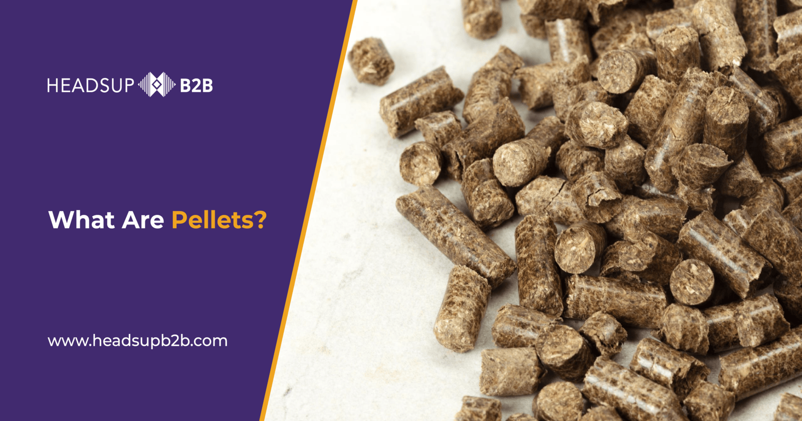 What Are Pellets?