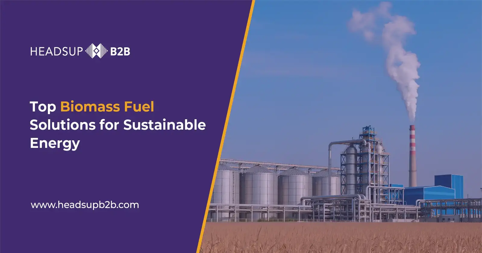 Top Biomass Fuel Solutions for Sustainable Energy